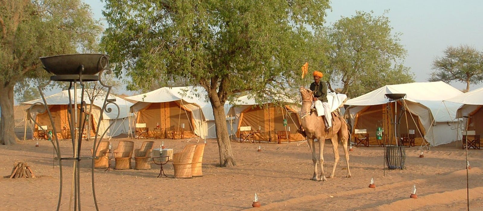 camelsafaricamp